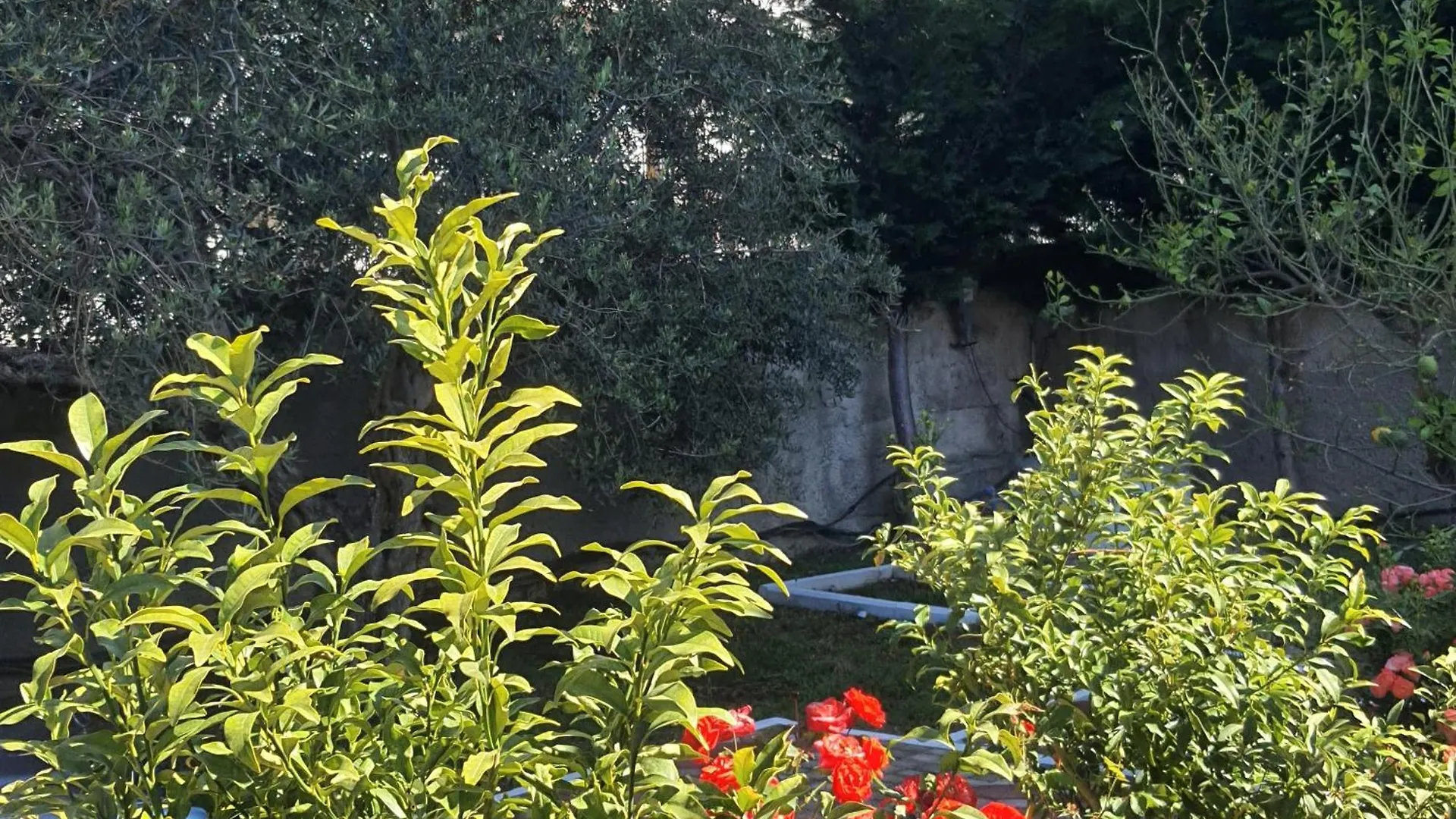 Holiday home Guest House Begaj Orikum Albania